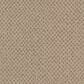 Masland Festivities Carpet in Parquet, , large