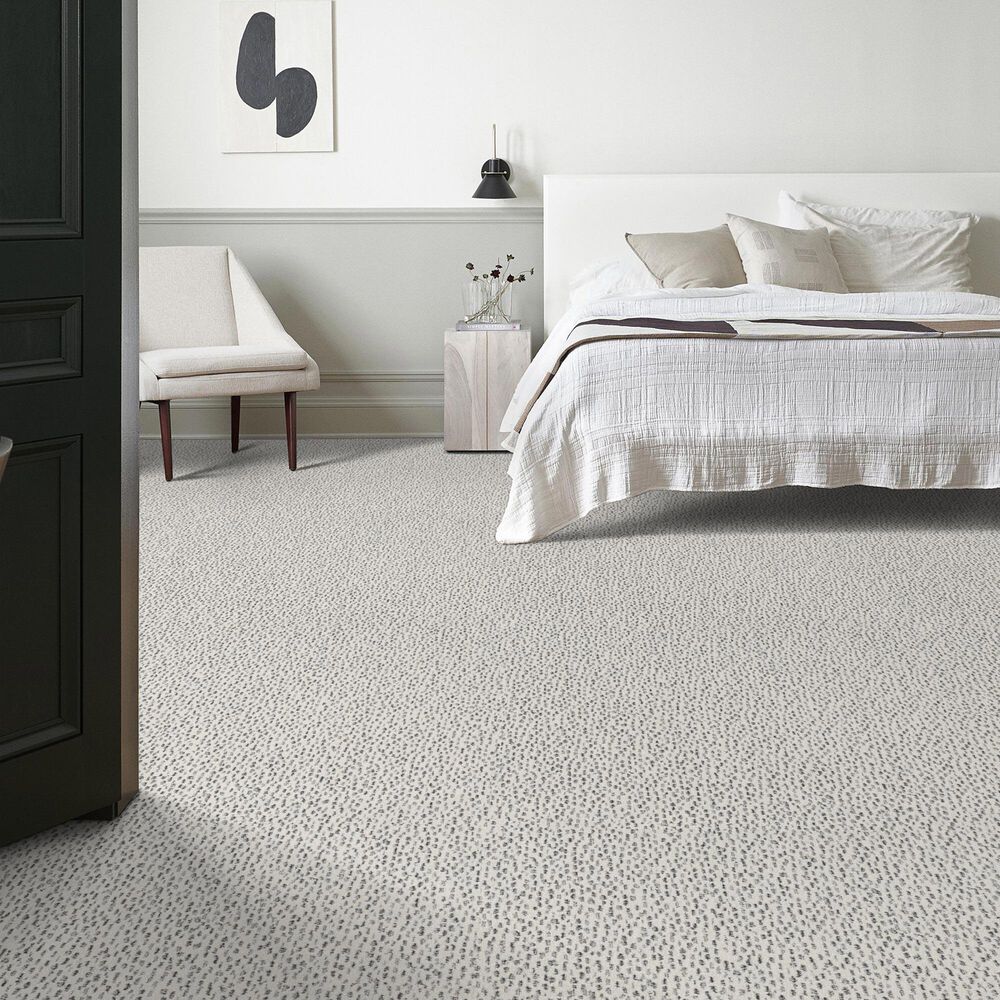 Anderson Tuftex Ambitious Carpet in Granite, , large