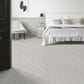 Anderson Tuftex Ambitious Carpet in Granite, , large