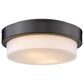 Golden Lighting Multi-Family 10.5" Flush Mount in Matte Black, , large