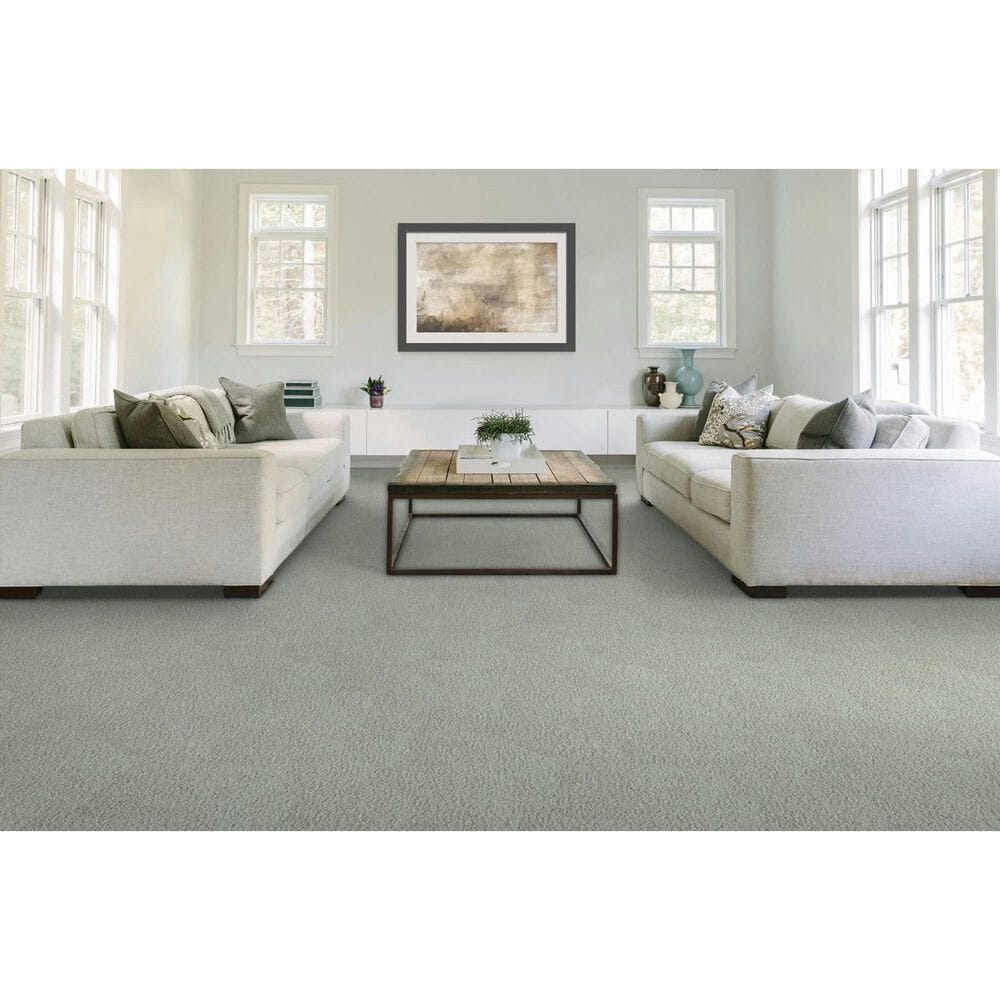 Mohawk Gentle Guardian lV Carpet in Haze, , large