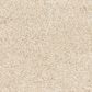 Mohawk Paw Pathway Carpet in Sugar Cone, , large