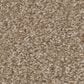 Shaw You Got This III Carpet in Warn Path, , large