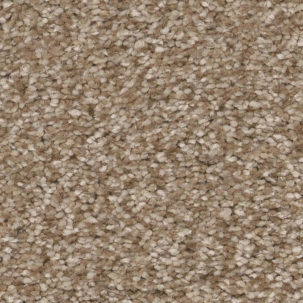 Shaw You Got This III Carpet in Warn Path, , large