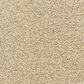 Dixie Home Natural Beauty Carpet in Pastry, , large