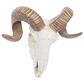 Maple and Jade 12" x 14" Farmhouse Sheep Skull Wall Decor in White and Bronze, , large