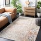 Safavieh Aston ASN728 4" x 6" Ivory and Grey Area Rug, , large