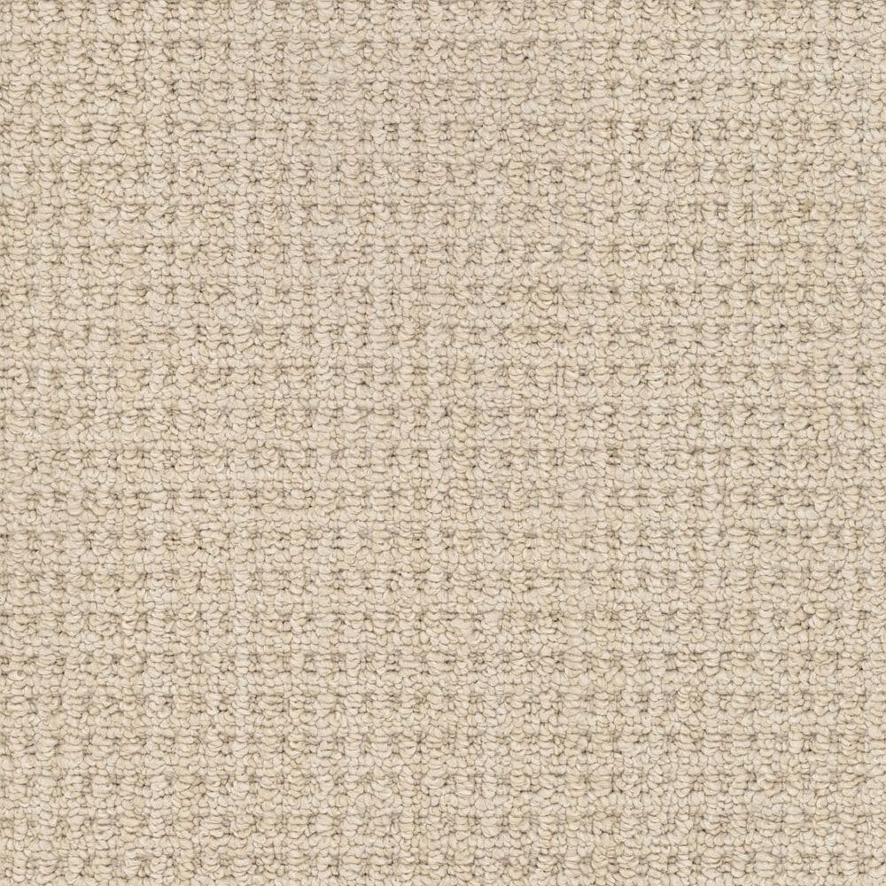 Masland Take It Easy Carpet in Sedona, , large