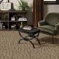 Anderson Tuftex Loom Carpet in Plateau, , large