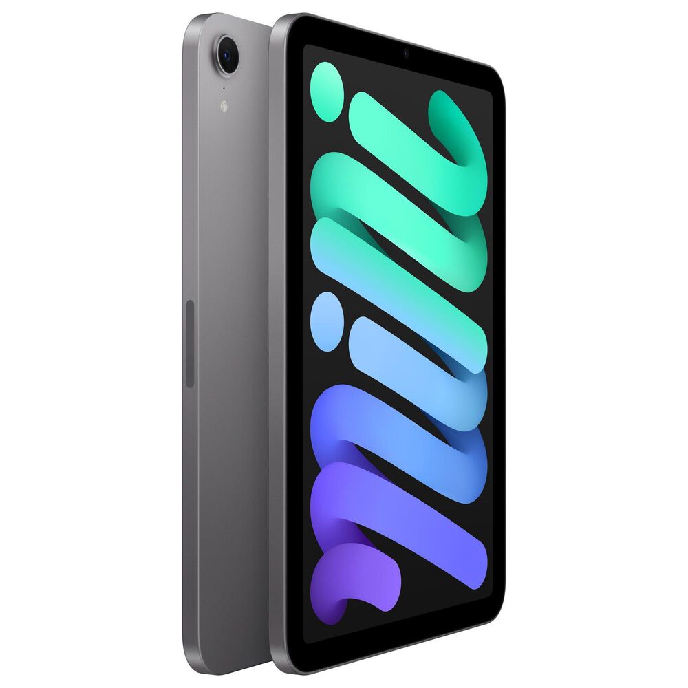 Apple iPad Mini Wi-Fi 128GB - Space Gray with 2-Year AppleCare+, , large