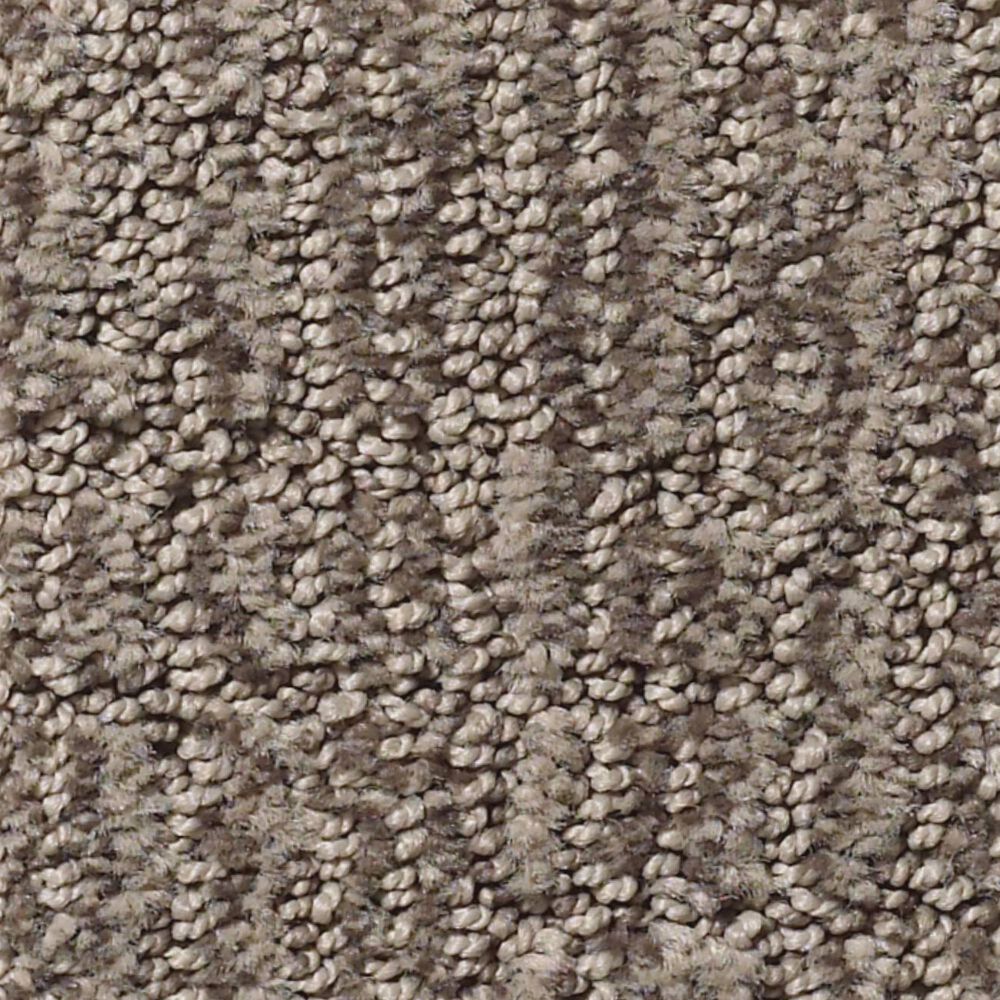Anderson Tuftex Roamer Carpet in Portland, , large