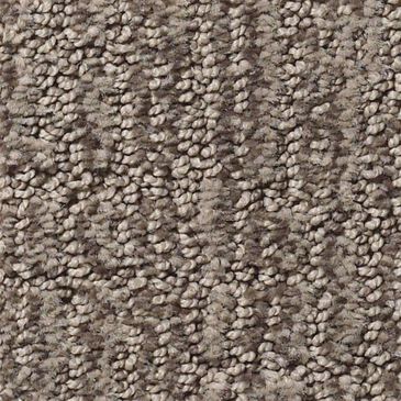 Anderson Tuftex Roamer Carpet in Portland, , large