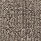 Anderson Tuftex Roamer Carpet in Portland, , large