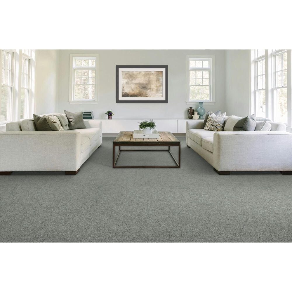 Mohawk Gentle Guardian lV Carpet in Mercury, , large