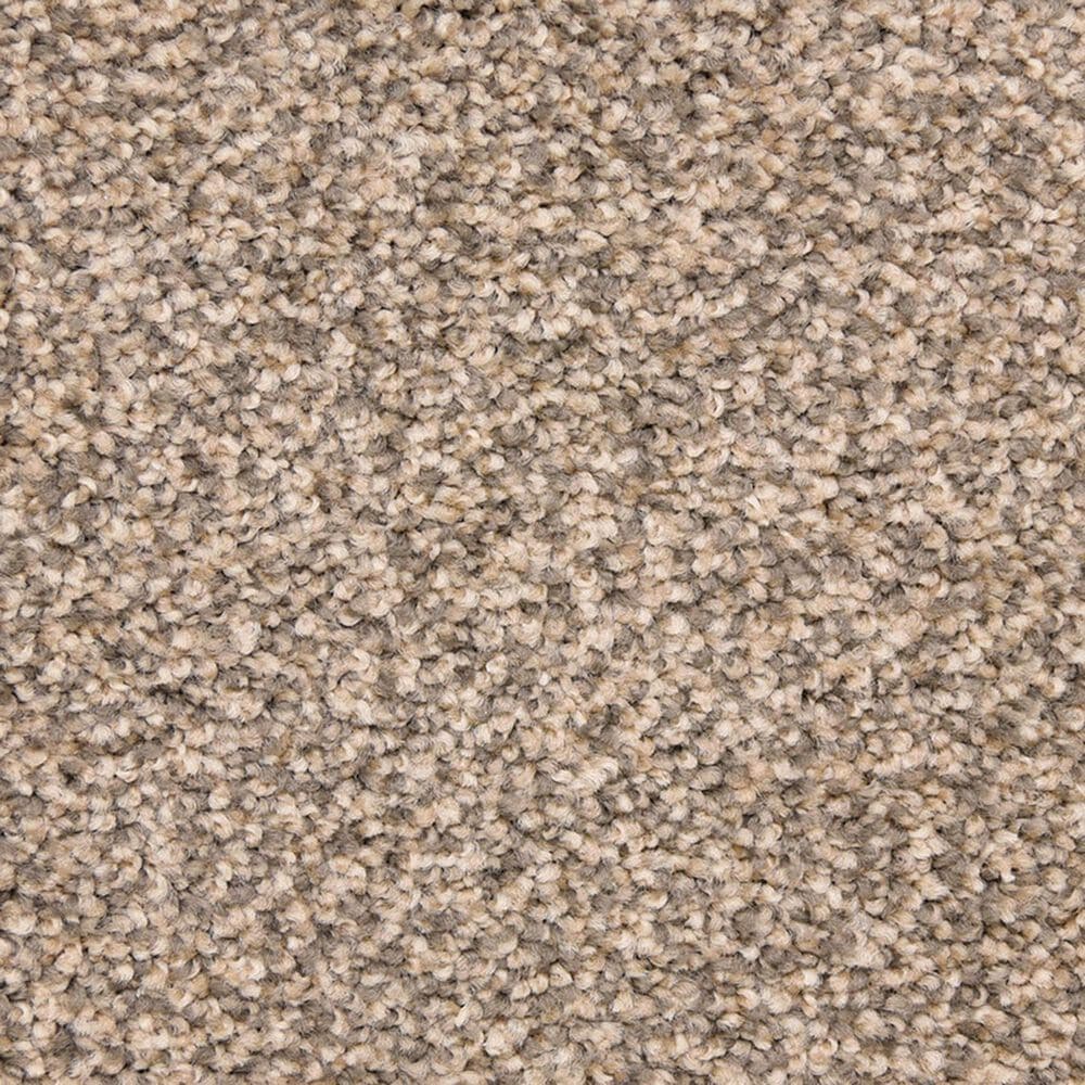 Dixie Home Debut Carpet in Statement, , large