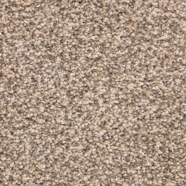 Dixie Home Debut Carpet in Statement, , large