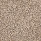 Dixie Home Debut Carpet in Statement, , large