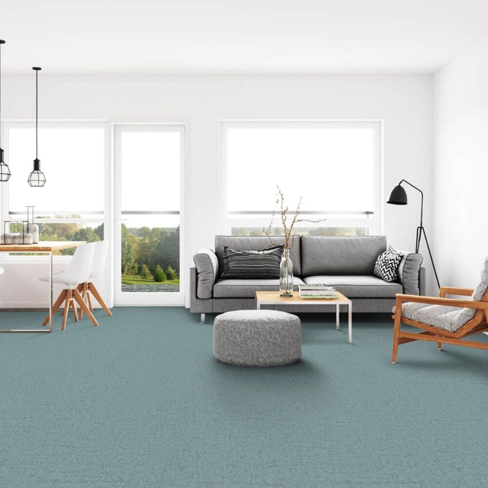 Dixie Home Genuine Carpet in Proven, , large