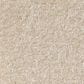 Shaw Luxuriant Carpet in Old Lace, , large