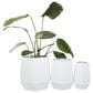 Maple and Jade Hexagon Planter in Satin White (Set of 2), , large