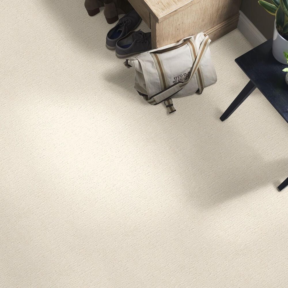 Anderson Tuftex Contour Carpet in Almond Silk, , large