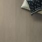 Shaw Pet Perfect Gossamer Grey 9" x 60" Luxury Vinyl Plank, , large