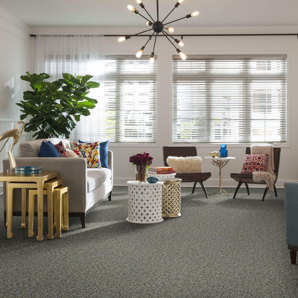 Shaw Break Away Tonal Carpet in Windy City, , large