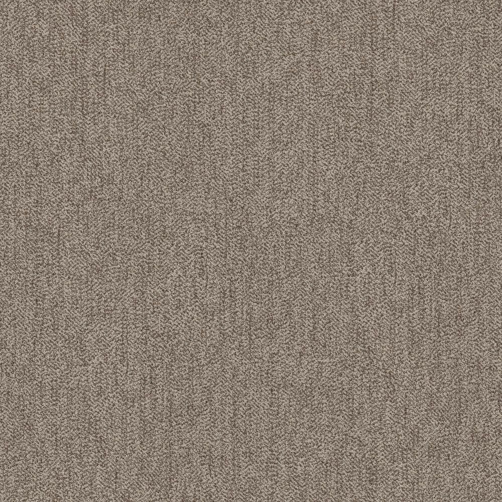 Anderson Tuftex Obscura Carpet in Backlit, , large