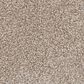 Mohawk Memorable View Carpet in Mushroom Cap, , large