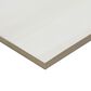 MS International Eden Dolomite 12" x 24" Polished Porcelain Tile, , large