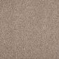 Karastan Graceful Invitation Carpet in Dapper, , large