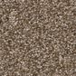 Shaw Affirmation II Carpet in Spanish Brown, , large