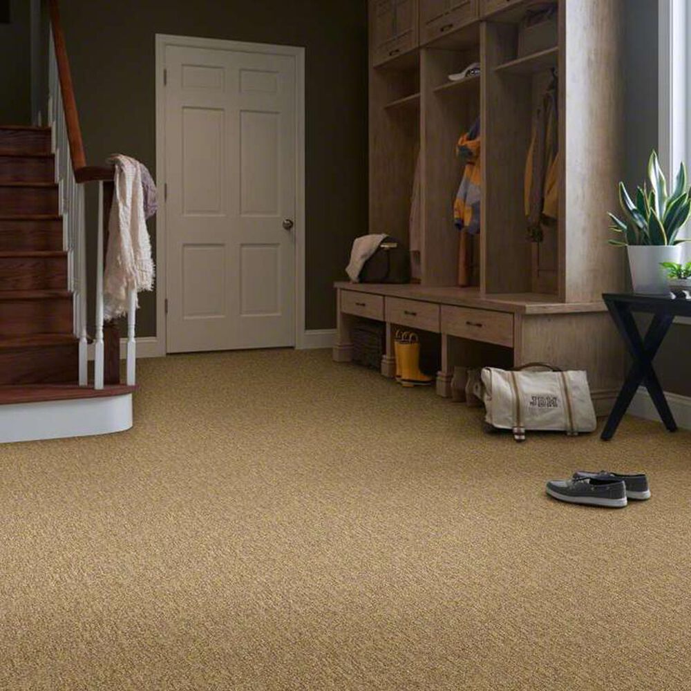Shaw Natural Balance Carpet in Basketry, , large