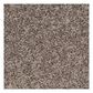 Shaw Go Big Carpet in Trade Wind, , large