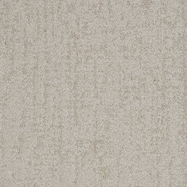 Dixie Home Genuine Carpet in Simplicity, , large