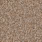 Anderson Tuftex Cypress Falls Carpet in Doe, , large