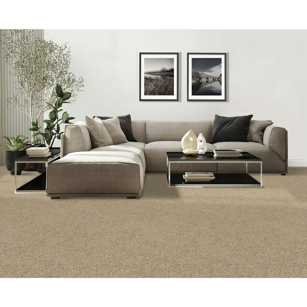 Mohawk Raise The Woof II Carpet in Sandy Beach, , large