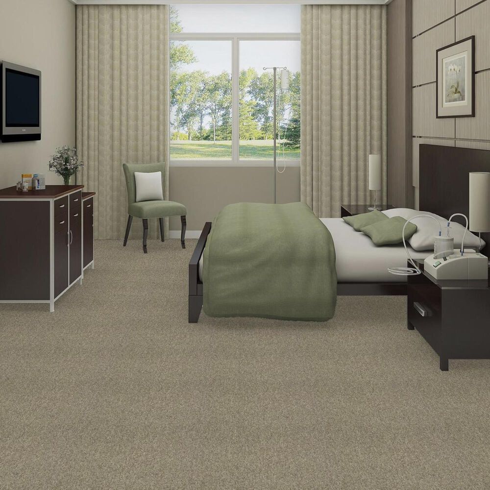 Shaw Multiplicity 18&quot; x 36&quot; Carpet Tile in Plethora, , large