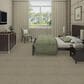 Shaw Multiplicity 18" x 36" Carpet Tile in Plethora, , large