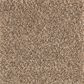 Mohawk Nature"s Elegance Carpet in Carpet in Autumn Brown, , large