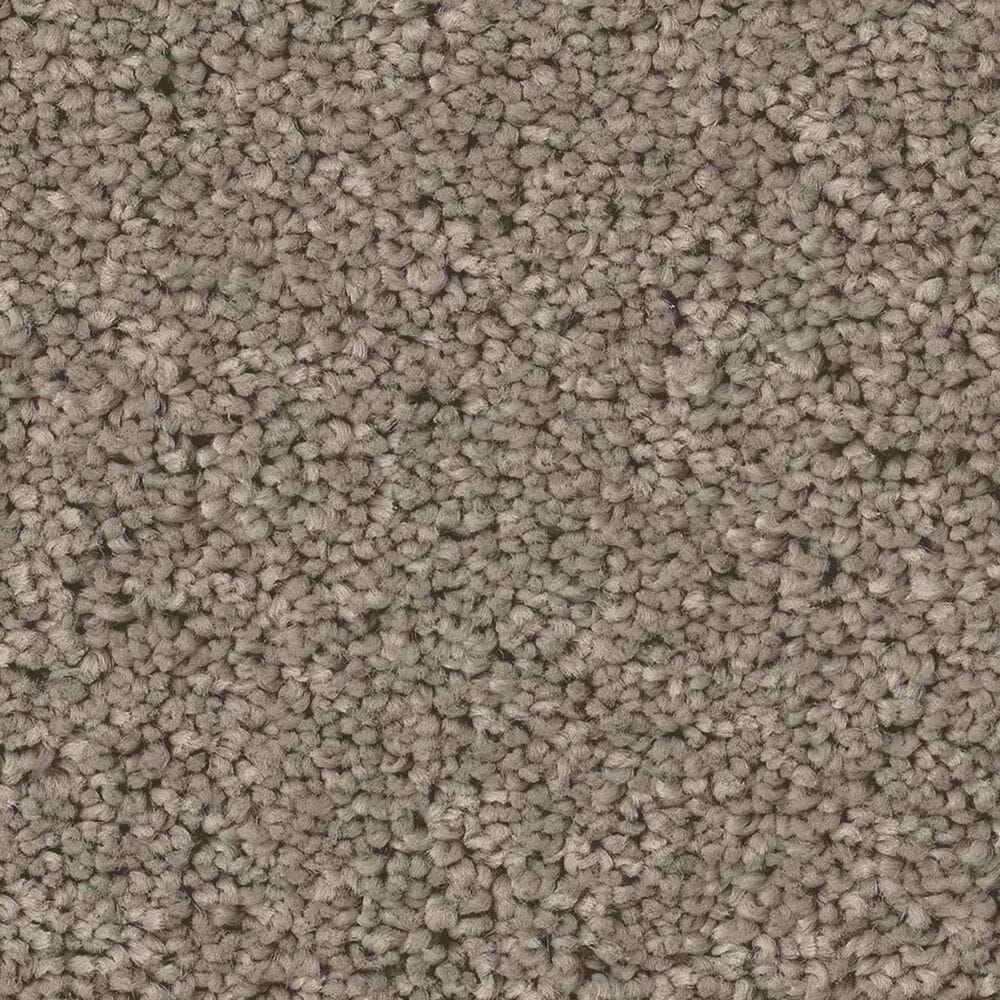 Shaw New Memories S Carpet in Pier, , large