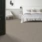 Anderson Tuftex Inspired Carpet in Gypsum, , large