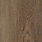 Paramount Bliss 5.0 Burntside 9" x 60" Luxury Vinyl Plank, , large