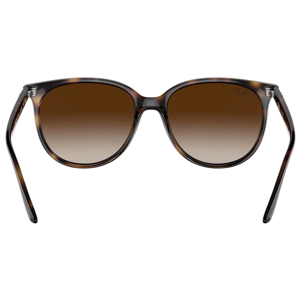 Rayban Glasses Sunglasses with Gradient Brown Lenses in Polished Havana, , large