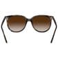 Rayban Glasses Sunglasses with Gradient Brown Lenses in Polished Havana, , large