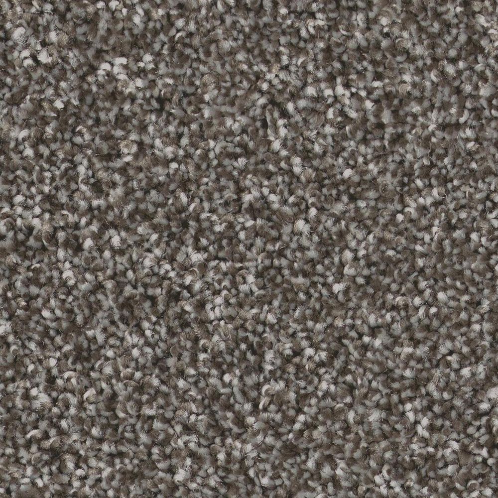 Shaw Imaginable I Carpet in Sparrow, , large