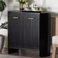 Baxton Studio Keshet 2-Door Accent Cabinet in Black, , large