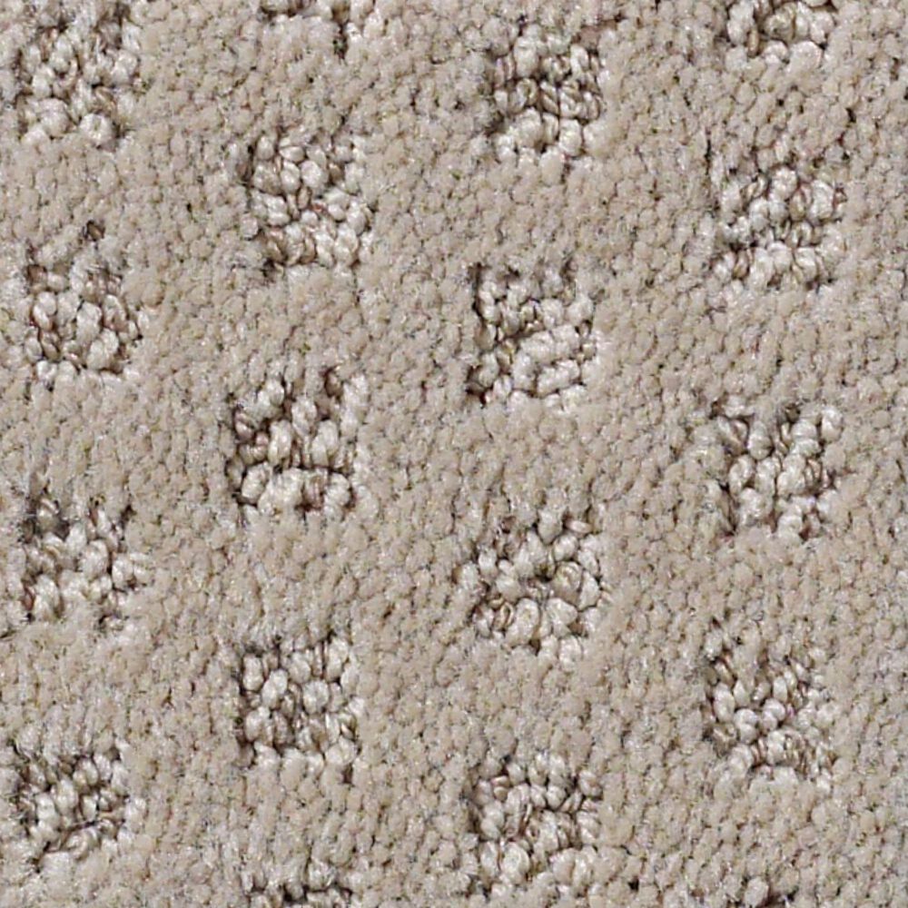 Anderson Tuftex Narrow Creek Carpet in Dundee, , large