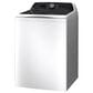 GE Profile 5.3 Cu. Ft. Top Load Washer with Agitator in White, , large