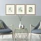 Paragon 16" x 18" Chaos I Wall Art in Green (Set of 3), , large